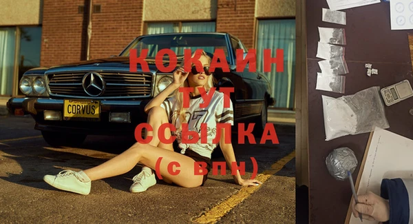 прущие крисы Вязьма