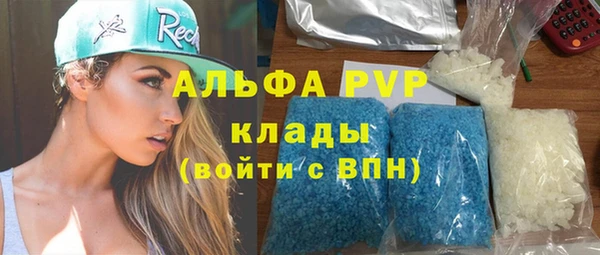 стаф Горняк