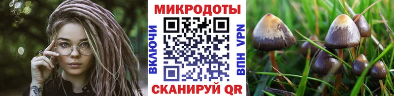 Купить где  Кизляр  Галлюциногенные грибы Magic Shrooms 